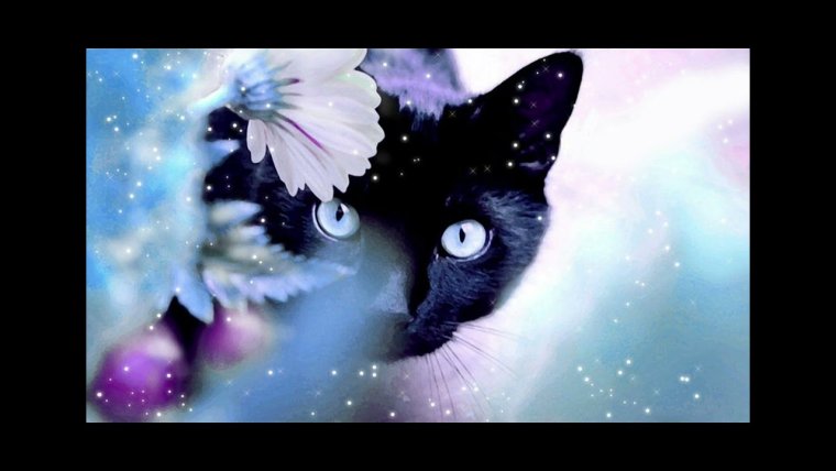 Обложка для одноклассников бизнес