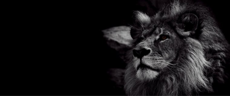 Обложка для одноклассников лето