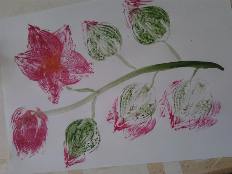 Маковое поле рисование в средней группе