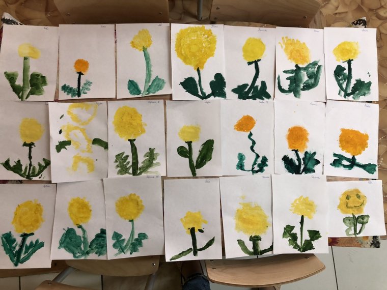 Рисование одуванчика в средней группе