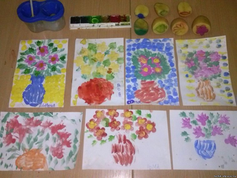 Космея Комарова старшая группа