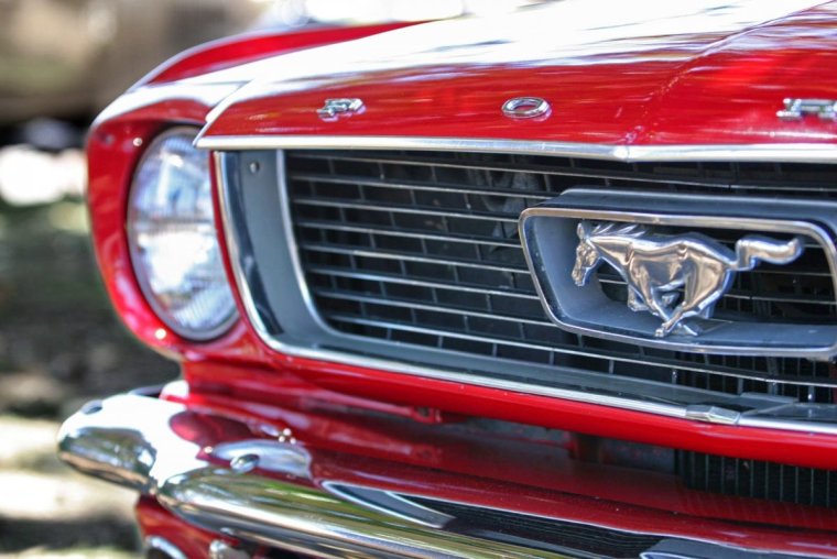 Эмблема автомобиля Форд Мустанг