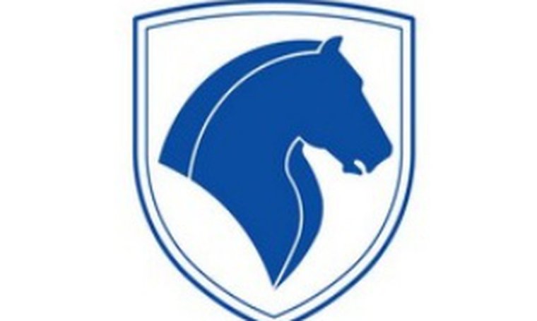 Фирма с логотипом лошади