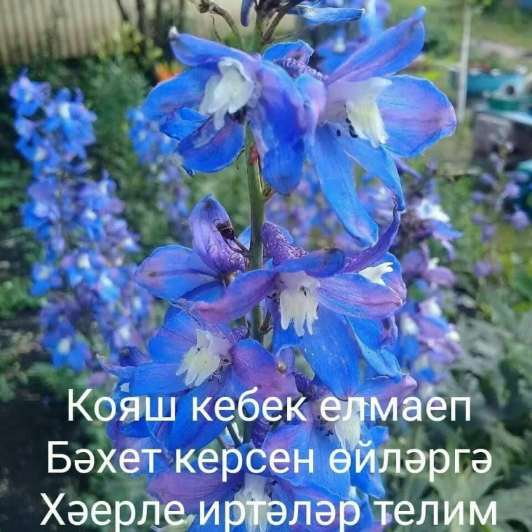 Букет цветов с пожеланиями