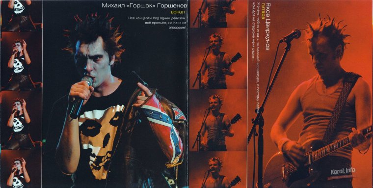 Король и Шут и сектор газа