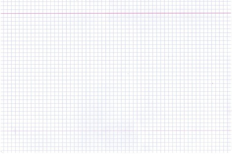 Лист в клеточку для слайда