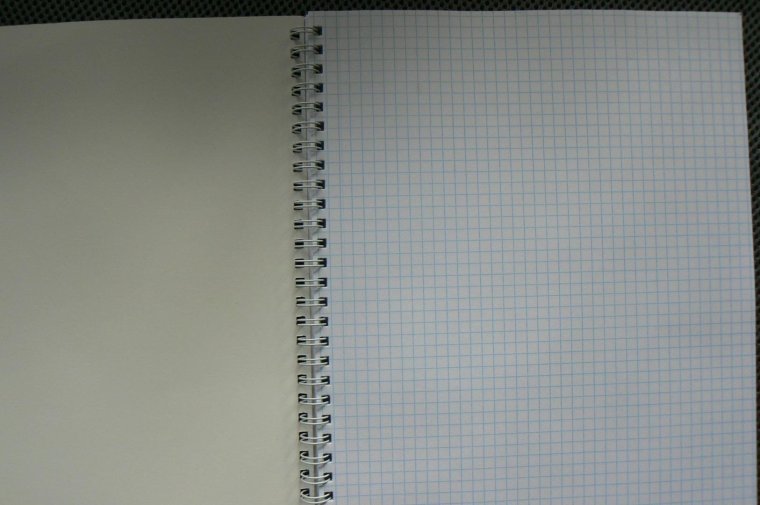 Лист в клетку