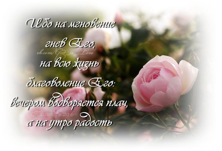 Свадебный фон для коллажа