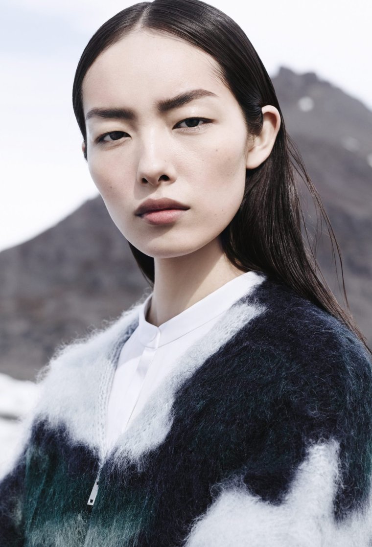 Fei Fei Sun модель