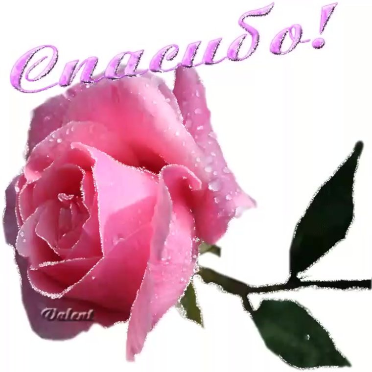 Стикеры спасибо на татарском языке