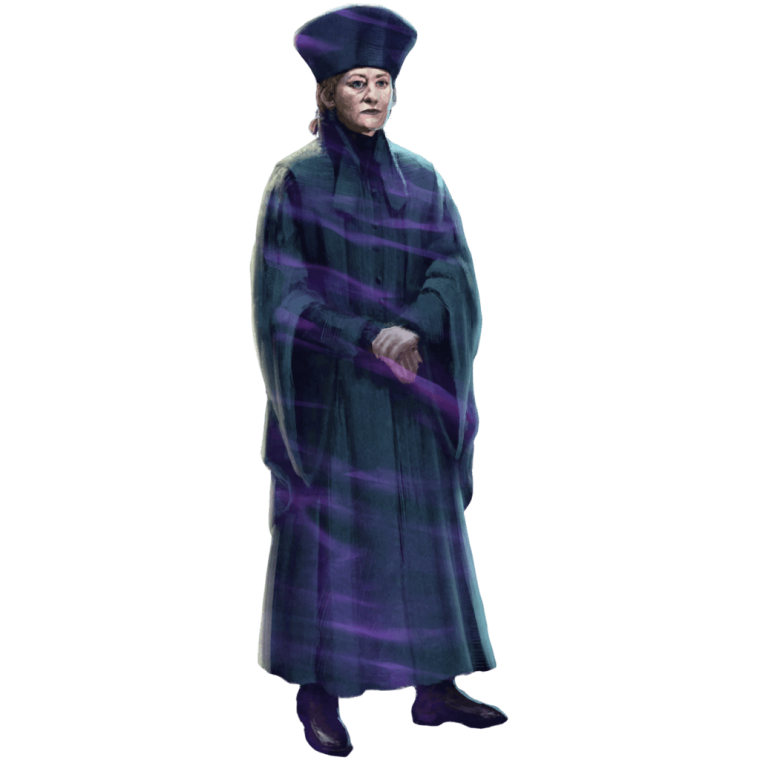 Игра тренер ведьмы Гермиона