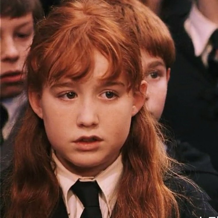 Гарри Поттер Сьюзен Боунс