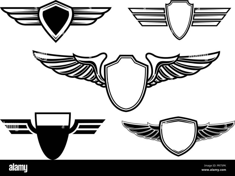 Марка машины с крыльями на эмблеме спортивного