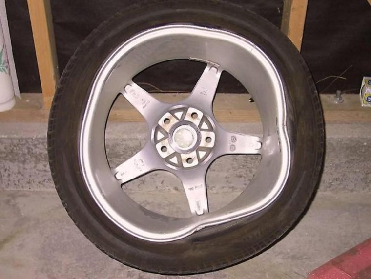 Шиномонтаж прикол с медведем