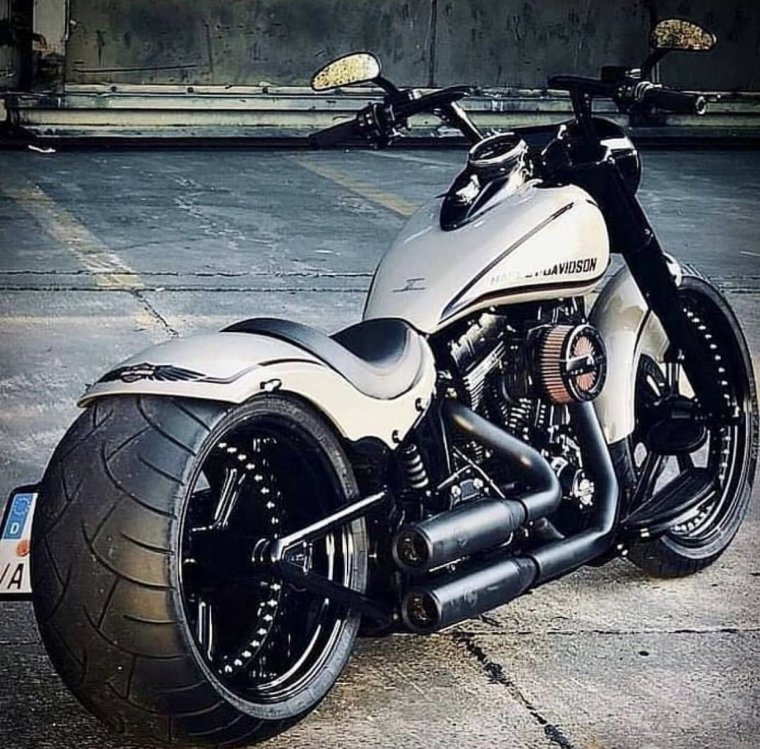 Harley Davidson v Rod muscle