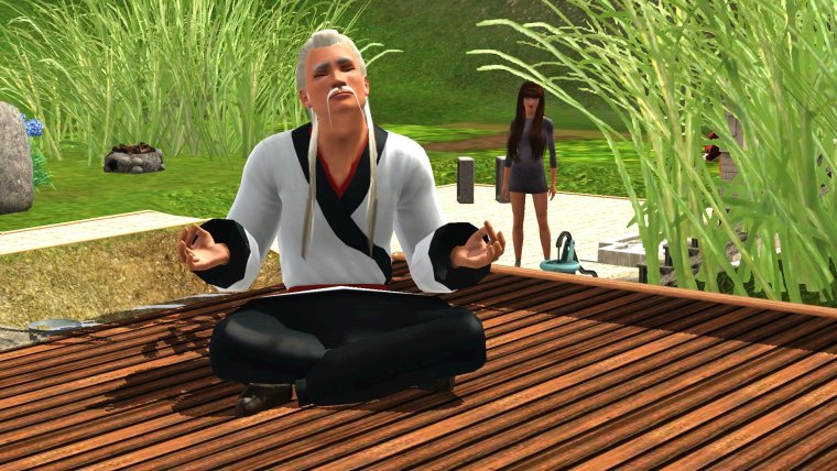 Мастер Пэй Мэй арт