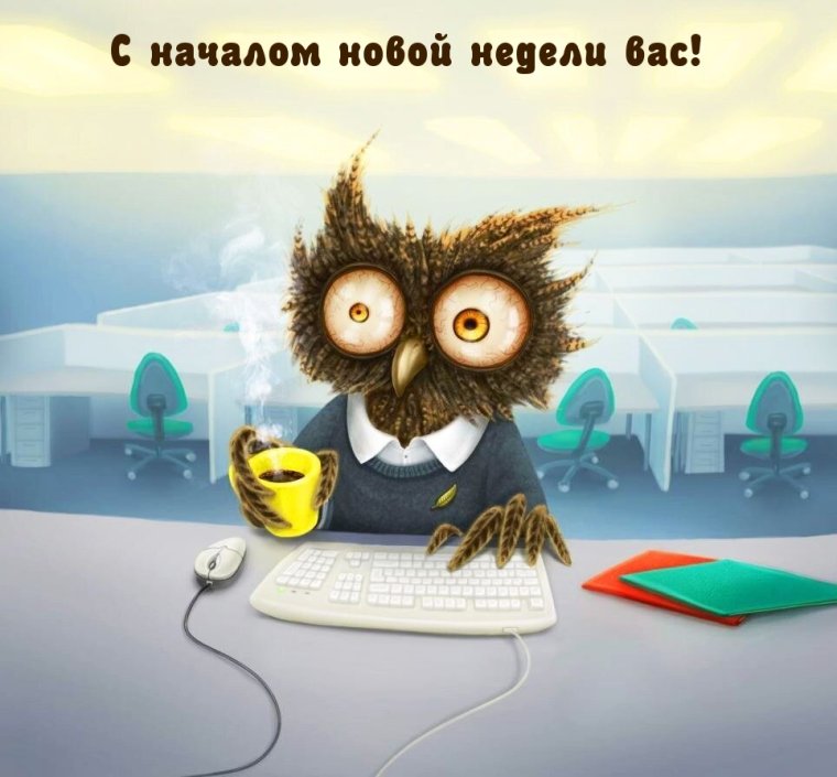 Невыспавшаяся Сова