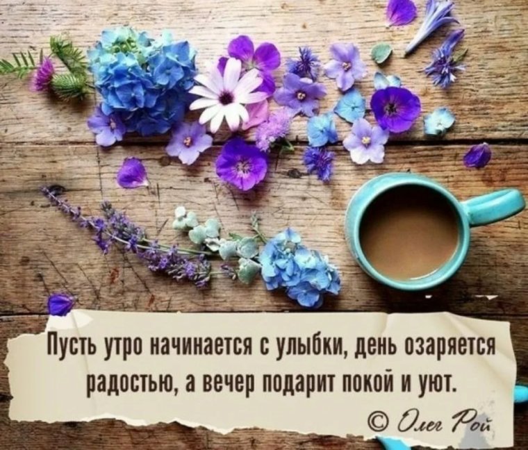 Высказывания с добрым утром