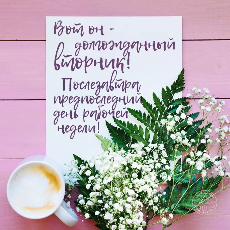 С добрым утром вторника