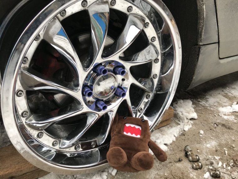 VW Polo на КИК Аламида