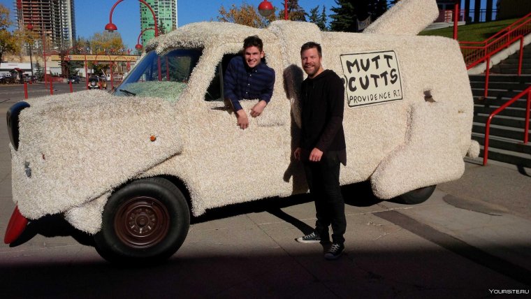 Собакомобиль тупой и еще тупее