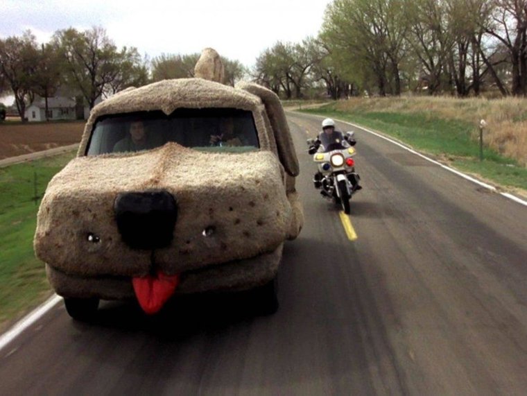 Собакомобиль тупой и еще тупее