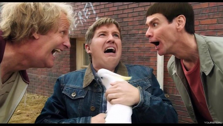 Тупой и еще тупее фильм 1994 Джим Керри