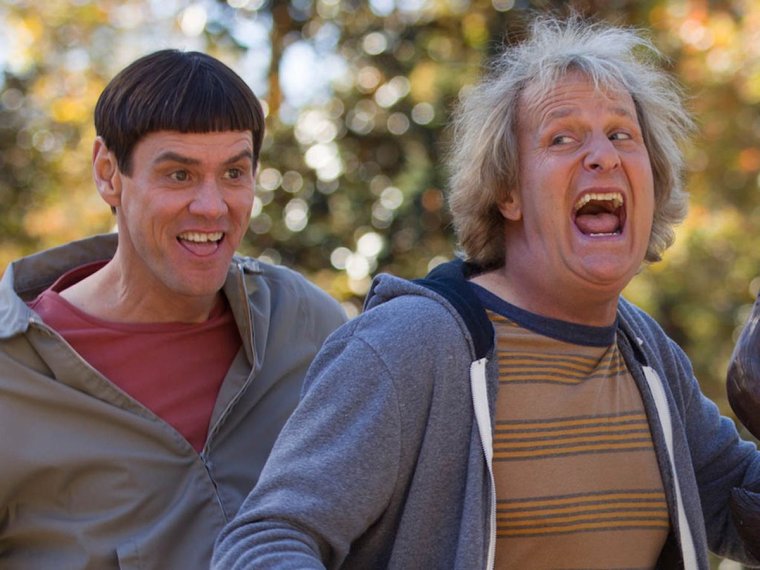 Пушистый автомобиль