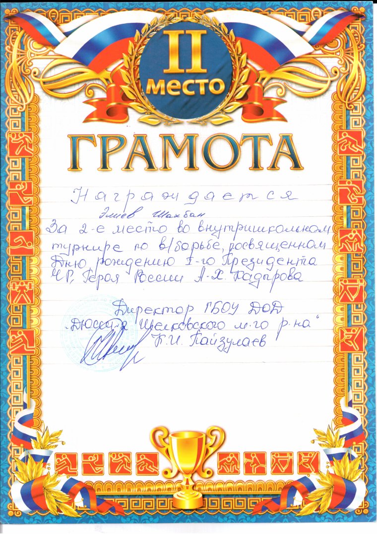 Спортивная грамота вектор