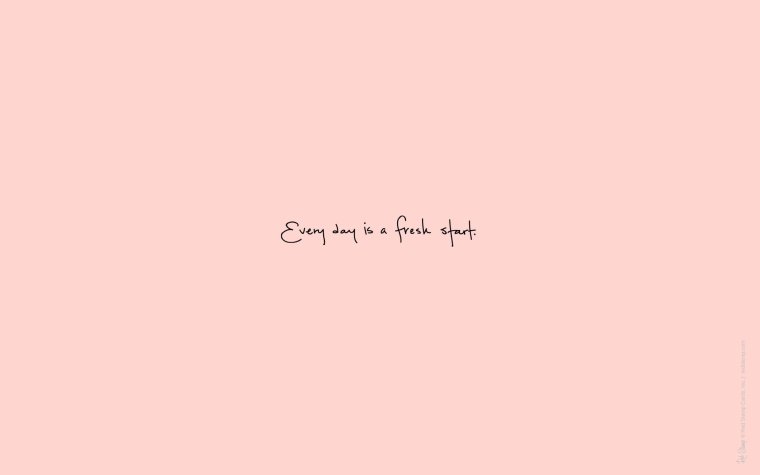 8985377 Влад Чижов