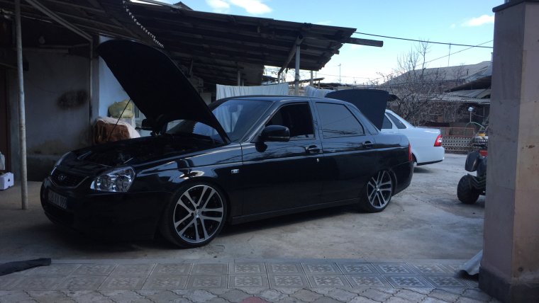 Лала пр Ора черная заниденая