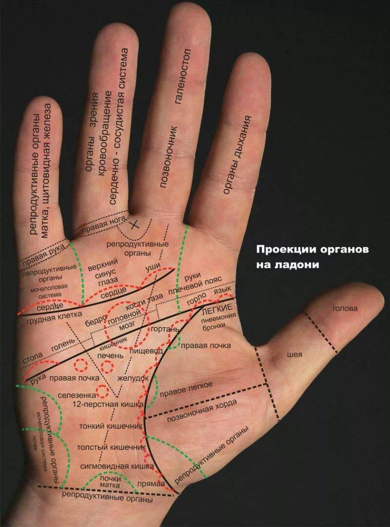 Хиромантия линии на руке