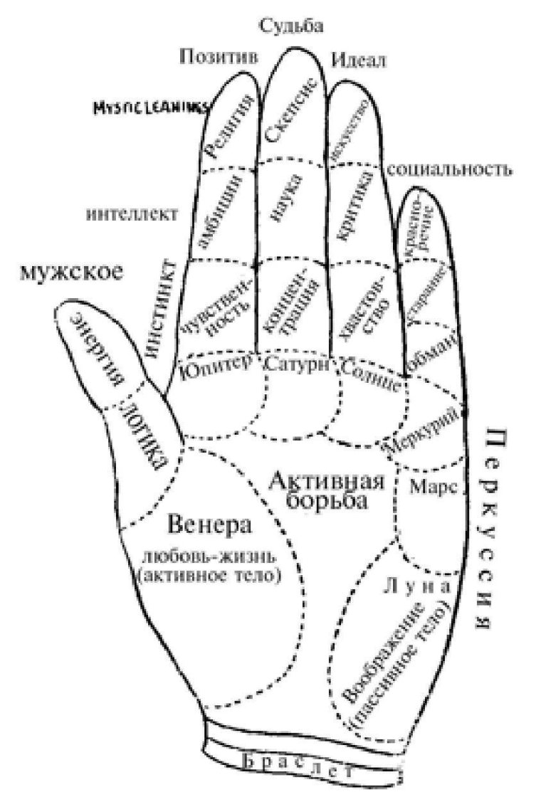 Рука хиромантия схема