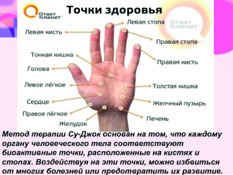 Метод Су Джок терапии