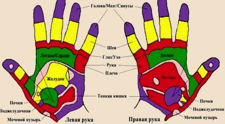 Точки на руках