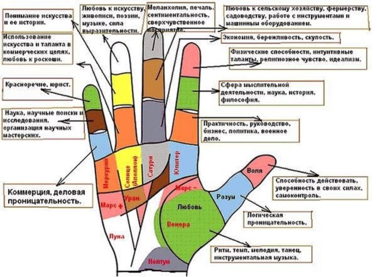 Линии на фалангах пальцев хиромантия