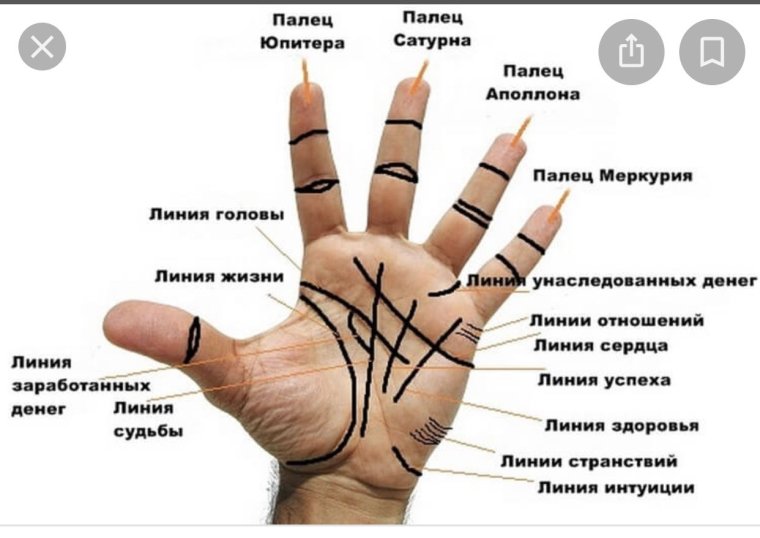 Обозначения линий на ладони левой руки
