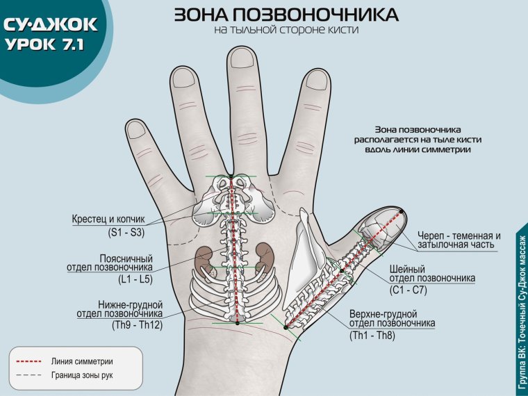 Су Джок зоны