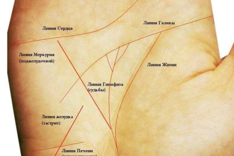 Холм Меркурия хиромантия