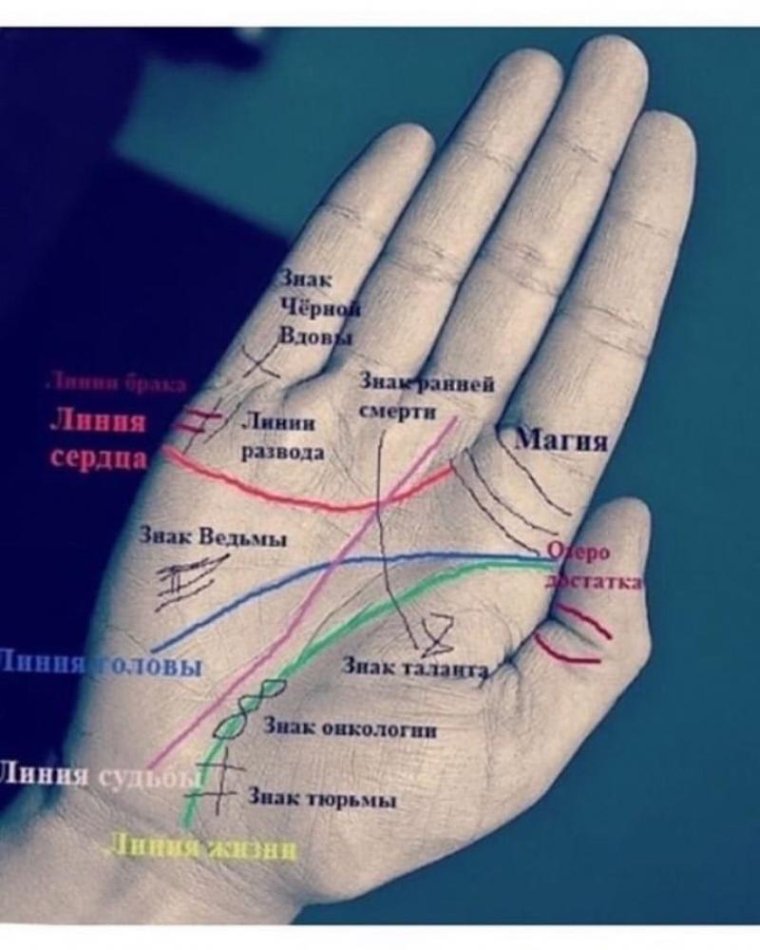 Линия развода на ладони