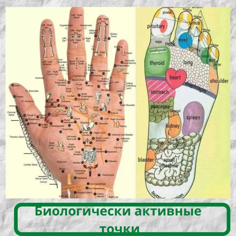 Акупунктурные точки на ладони человека схема расположения у женщин