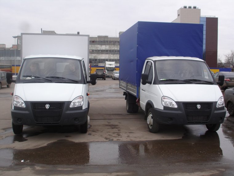 Газель к686нс73