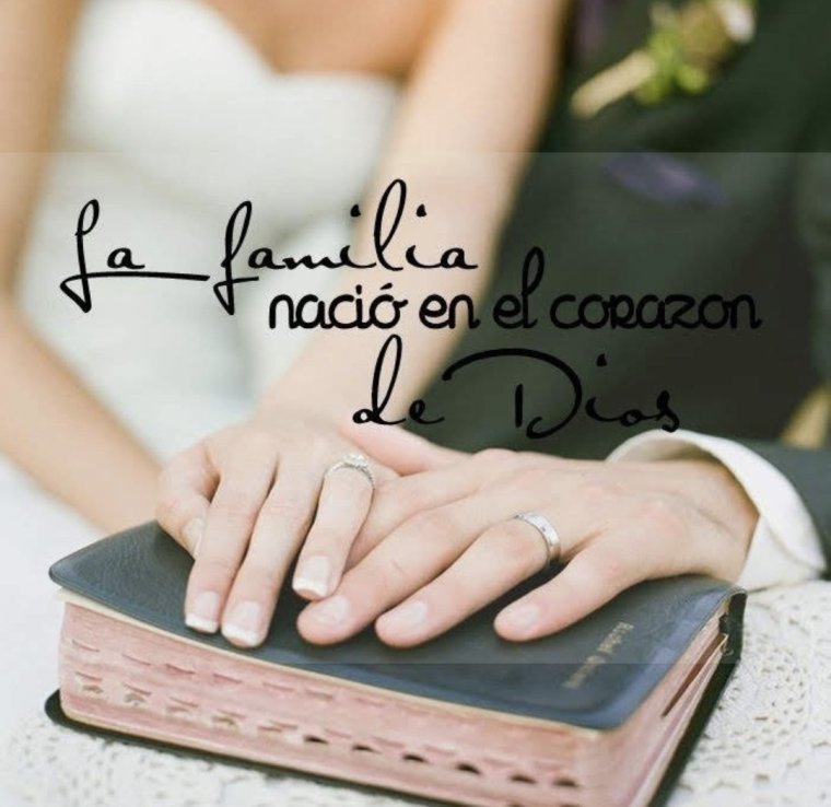 Цитаты для фотоальбома