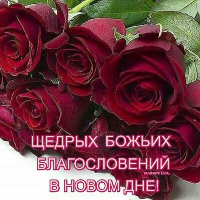 Благословение цветы