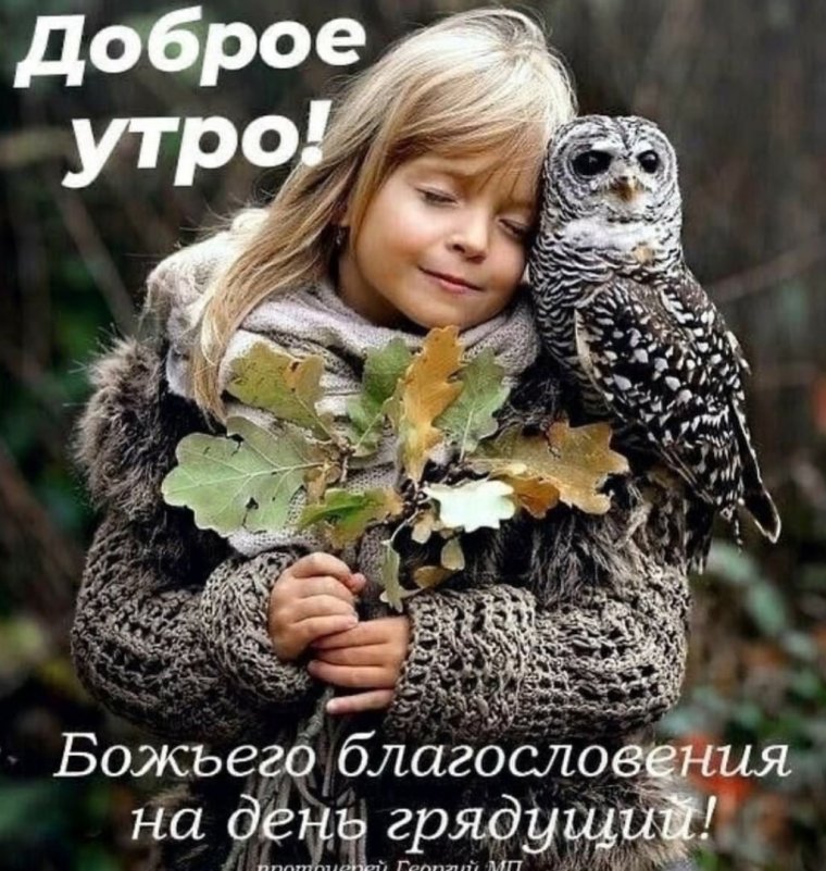 Божьих благословений вам