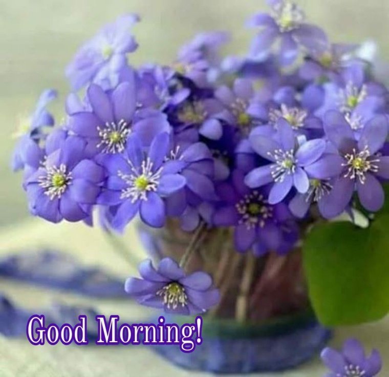 Пожелания с добрым утром брату