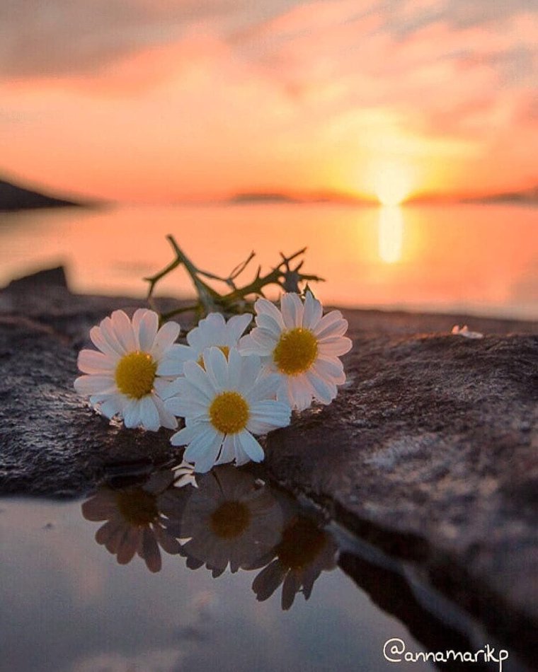 Красивые высказывания о кофе