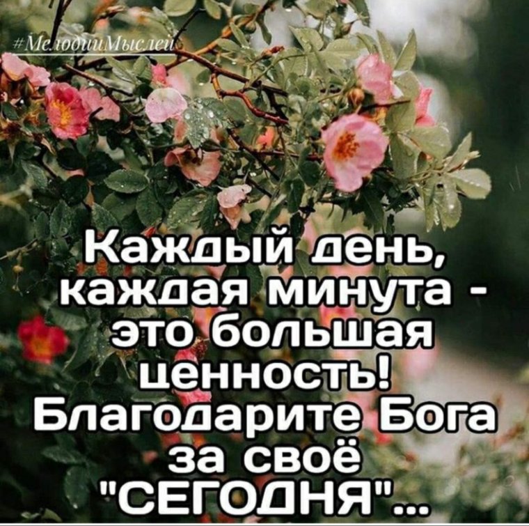 Доброе утро и благословенного дн