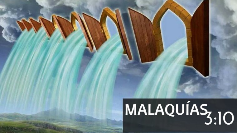 Благословение цветы