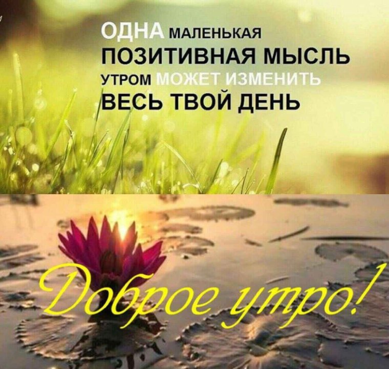 Доброе утро благословенного дня
